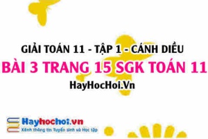 Giải bài 3 trang 15 Toán 11 tập 1 SGK Cánh Diều